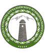 МБУ "Районный дом культуры Курчалоевского муниципального района"